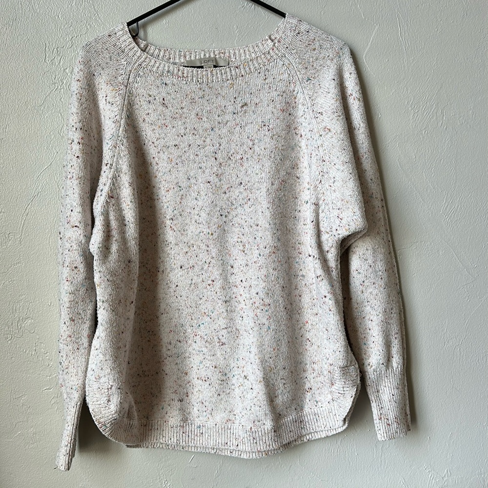 Loft Multi Color Fleck Sweater